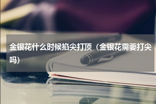 金银花什么时候掐尖打顶（金银花需要打尖吗）