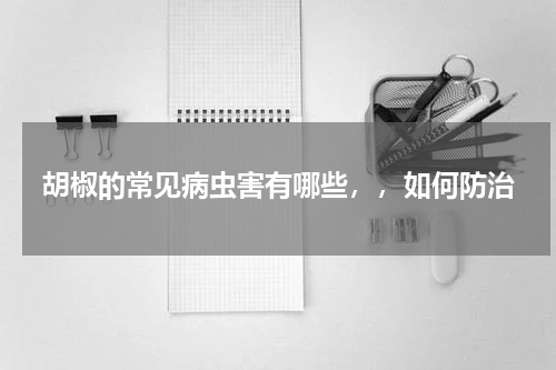 胡椒的常见病虫害有哪些，，如何防治