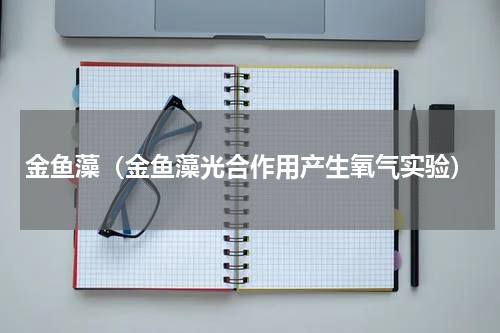 金鱼藻（金鱼藻光合作用产生氧气实验）