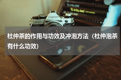 杜仲茶的作用与功效及冲泡方法（杜仲泡茶有什么功效）