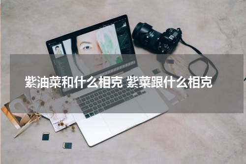 紫油菜和什么相克 紫菜跟什么相克