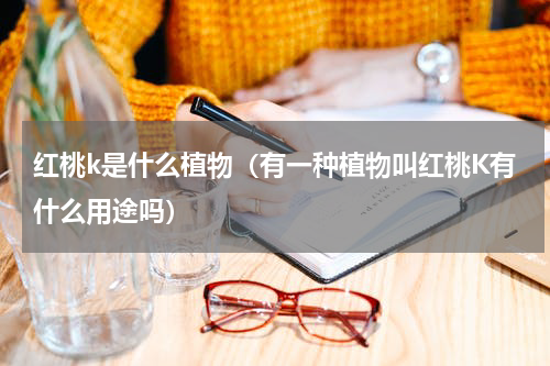 红桃k是什么植物（有一种植物叫红桃K有什么用途吗）