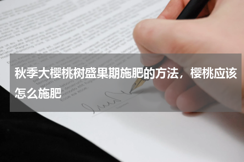 秋季大樱桃树盛果期施肥的方法，樱桃应该怎么施肥