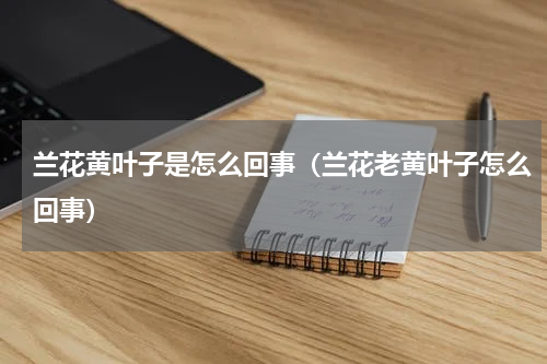 兰花黄叶子是怎么回事（兰花老黄叶子怎么回事）