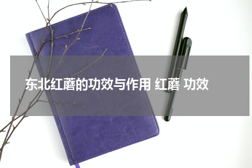 东北红蘑的功效与作用 红蘑 功效