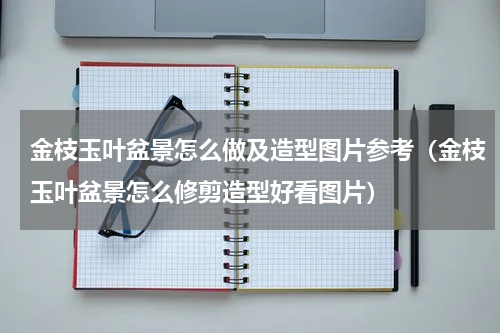 金枝玉叶盆景怎么做及造型图片参考（金枝玉叶盆景怎么修剪造型好看图片）