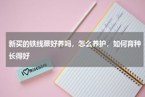 新买的铁线蕨好养吗，怎么养护，如何育种长得好