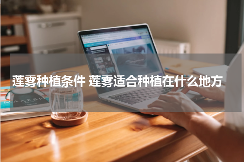 莲雾种植条件 莲雾适合种植在什么地方