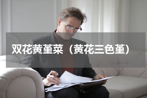 双花黄堇菜（黄花三色堇）