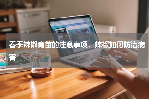 春季辣椒育苗的注意事项，辣椒如何防治病害