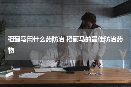 稻蓟马用什么药防治 稻蓟马的最佳防治药物
