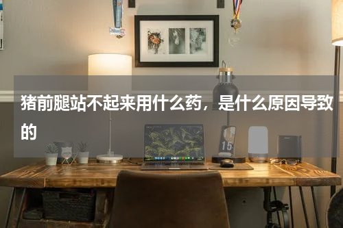 猪前腿站不起来用什么药，是什么原因导致的