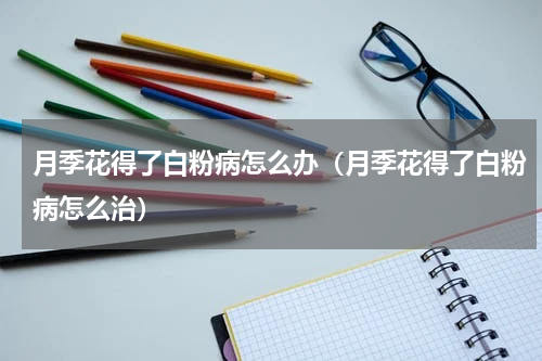 月季花得了白粉病怎么办（月季花得了白粉病怎么治）
