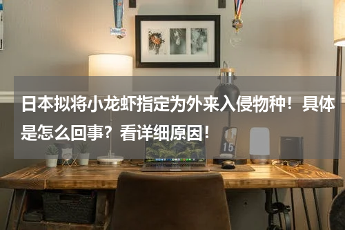 日本拟将小龙虾指定为外来入侵物种！具体是怎么回事？看详细原因！
