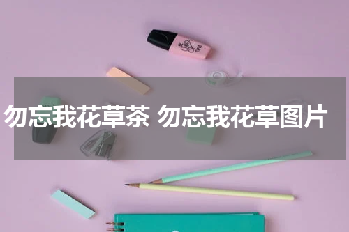 勿忘我花草茶 勿忘我花草图片