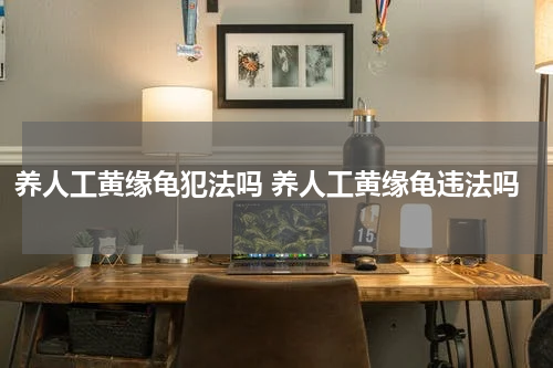 养人工黄缘龟犯法吗 养人工黄缘龟违法吗
