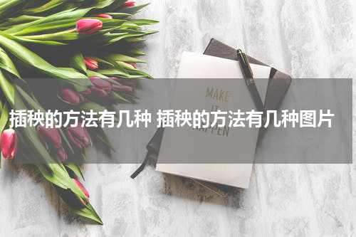 插秧的方法有几种 插秧的方法有几种图片