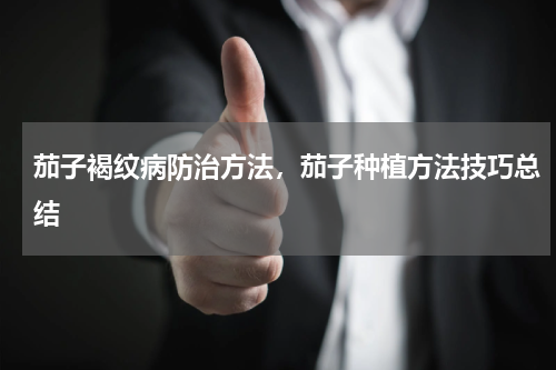 茄子褐纹病防治方法，茄子种植方法技巧总结