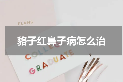 貉子红鼻子病怎么治