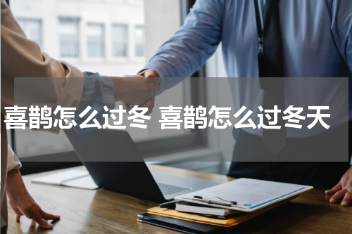 喜鹊怎么过冬 喜鹊怎么过冬天