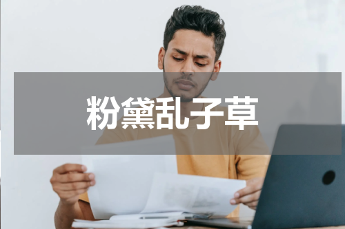 粉黛乱子草