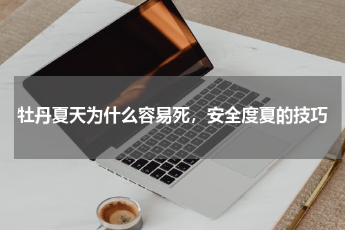 牡丹夏天为什么容易死，安全度夏的技巧