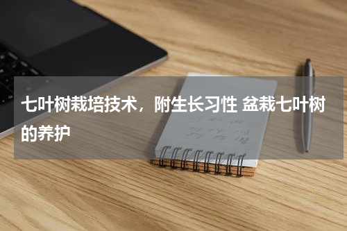 七叶树栽培技术，附生长习性 盆栽七叶树的养护