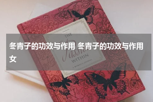 冬青子的功效与作用 冬青子的功效与作用女