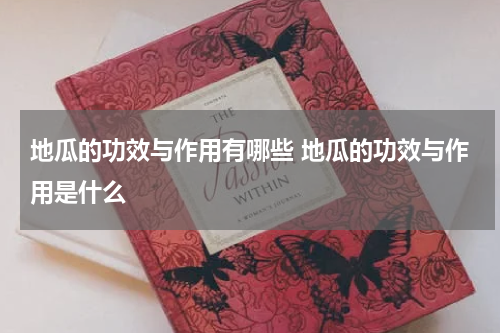 地瓜的功效与作用有哪些 地瓜的功效与作用是什么
