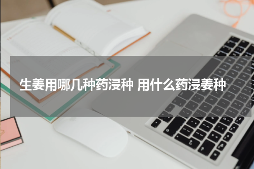 生姜用哪几种药浸种 用什么药浸姜种