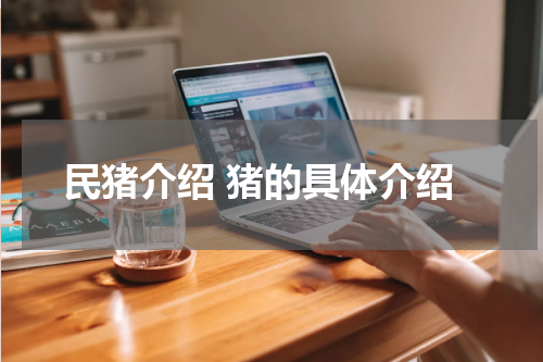 民猪介绍 猪的具体介绍