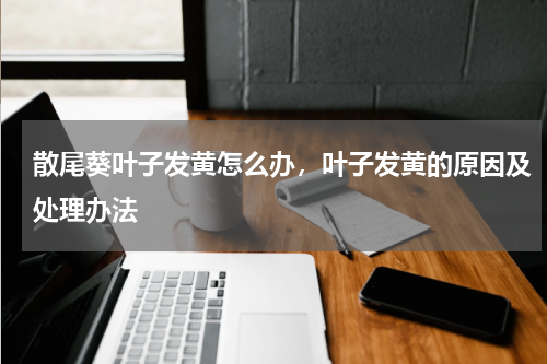 散尾葵叶子发黄怎么办，叶子发黄的原因及处理办法