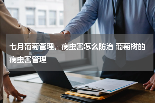 七月葡萄管理，病虫害怎么防治 葡萄树的病虫害管理