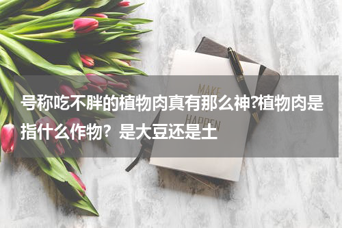号称吃不胖的植物肉真有那么神?植物肉是指什么作物？是大豆还是土
