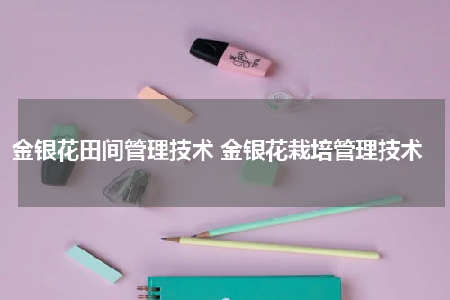 金银花田间管理技术 金银花栽培管理技术