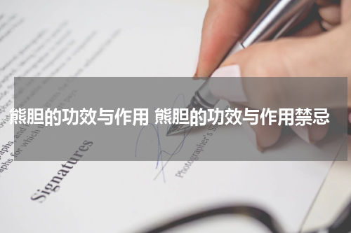 熊胆的功效与作用 熊胆的功效与作用禁忌
