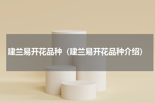 建兰易开花品种（建兰易开花品种介绍）