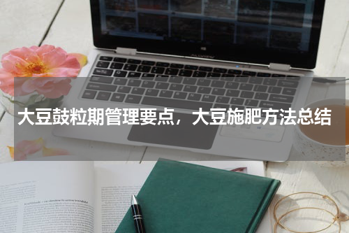 大豆鼓粒期管理要点，大豆施肥方法总结