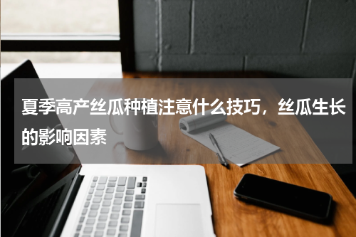 夏季高产丝瓜种植注意什么技巧，丝瓜生长的影响因素