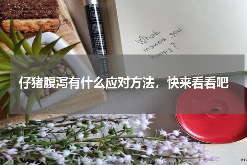 仔猪腹泻有什么应对方法，快来看看吧