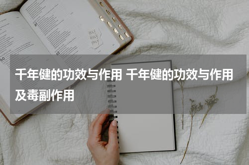 千年健的功效与作用 千年健的功效与作用及毒副作用