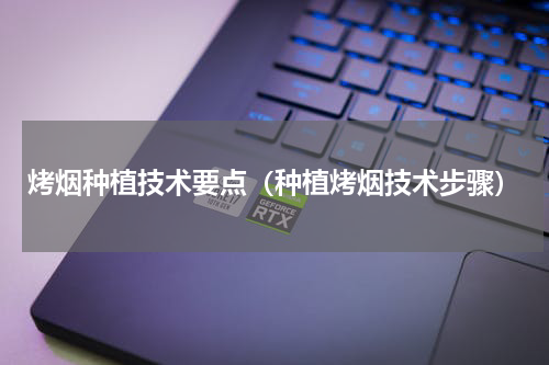 烤烟种植技术要点（种植烤烟技术步骤）