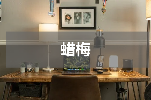 蜡梅