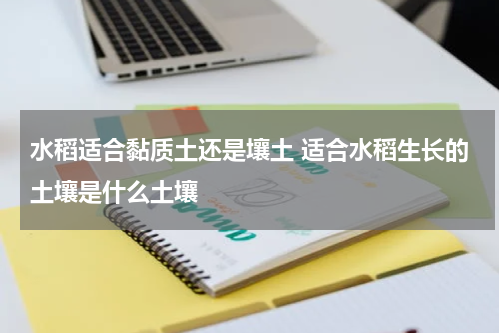 水稻适合黏质土还是壤土 适合水稻生长的土壤是什么土壤