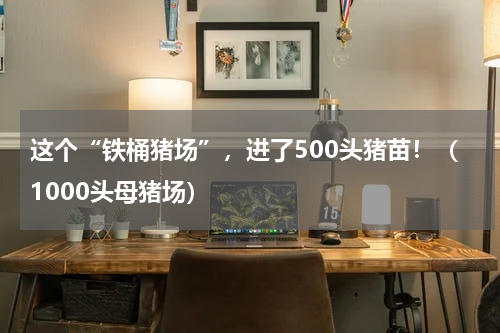 这个“铁桶猪场”，进了500头猪苗！（1000头母猪场）