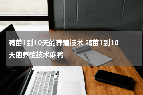 鸭苗1到10天的养殖技术 鸭苗1到10天的养殖技术麻鸭