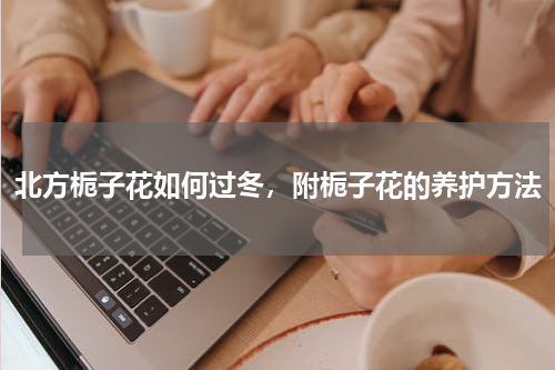 北方栀子花如何过冬，附栀子花的养护方法