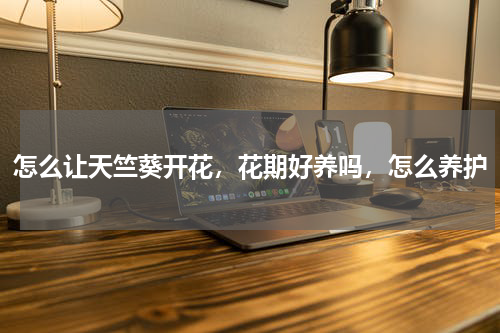 怎么让天竺葵开花，花期好养吗，怎么养护