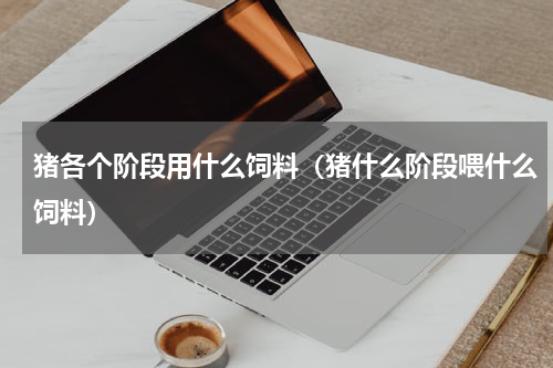 猪各个阶段用什么饲料（猪什么阶段喂什么饲料）