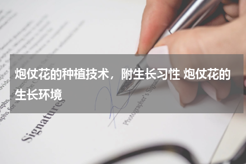 炮仗花的种植技术，附生长习性 炮仗花的生长环境